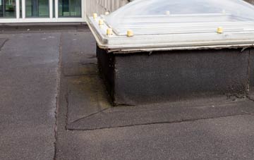 disadvantages of Nenthall flat roofs